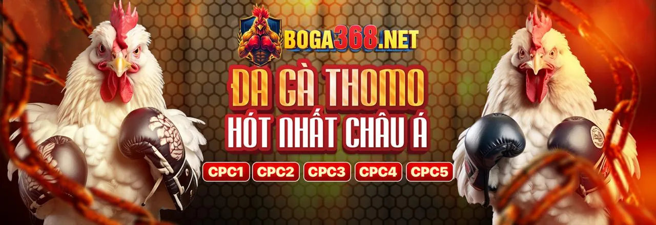 Công nghệ AI trong cá cược trực tuyến